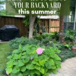 best outdoor spaces graphic