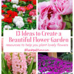 13 flower garden resources graphic
