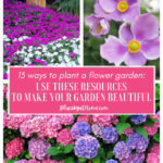 13 flower garden resources graphic