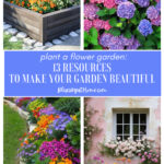 13 flower garden resources graphic
