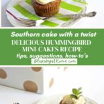 Hummingbird mini-cakes graphic