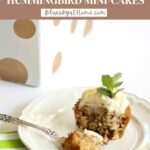 Hummingbird mini-cakes graphic