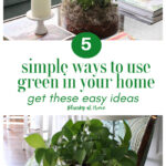 green plants home graphic
