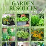 15 DIY Herb Garden Ideas