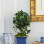 blue updated container on mantel