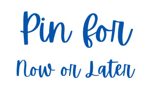 PIN for now or later - blue