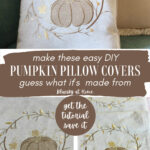 pumpkin pillow graphic