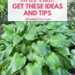 spring small garden space ideas graphic