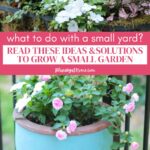 spring small garden space ideas graphic