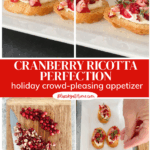 cranberry ricotta crostini appetizer graphic
